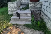 №5632 2-х поверхова дача Соколовський масив