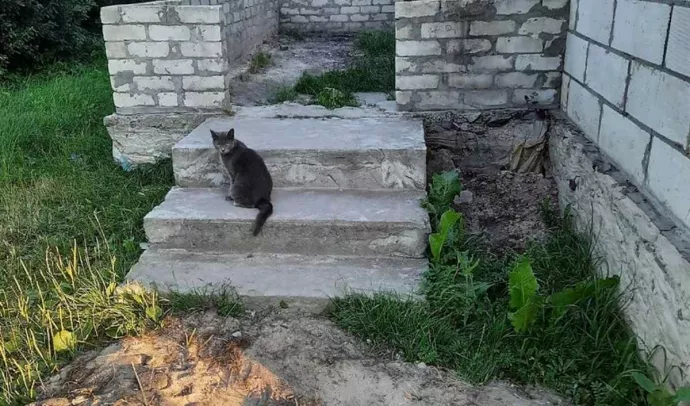 №5632 2-х поверхова дача Соколовський масив