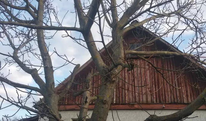 №5560 приватний будинок в с. Старий Солотвин