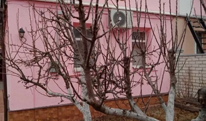 №5634 частина приватного будинка проїзд Бондарний