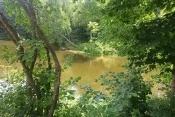 №5580 дача в с. Дениші