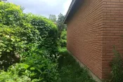 №5580 дача в с. Дениші