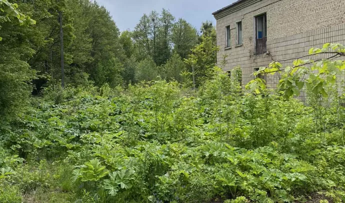 №8129 дві 2-х поверхові будівлі та одна ділянка з будинком на перехресті Саєнка-Київське шосе