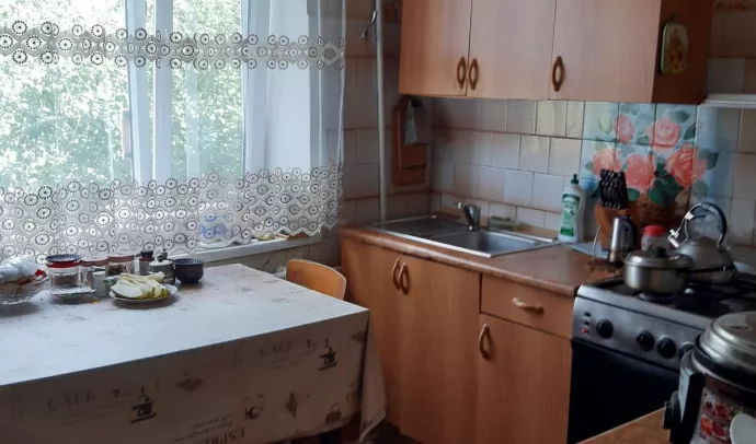 №5828 Продаж будинку в селі Городище з садом і ділянкою 