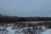 7968 Земельна ділянка Зарічани