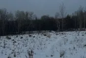 7968 Земельна ділянка Зарічани