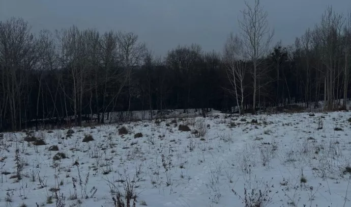 7968 Земельна ділянка Зарічани