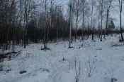 7968 Земельна ділянка Зарічани