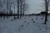7968 Земельна ділянка Зарічани