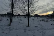 7968 Земельна ділянка Зарічани