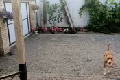 5876 Продам будинок Кмитів