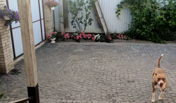 5876 Продам будинок Кмитів