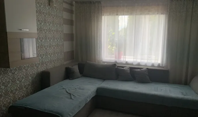 10037 Шикарний будинок м.Звягель