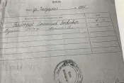 10037 Шикарний будинок м.Звягель