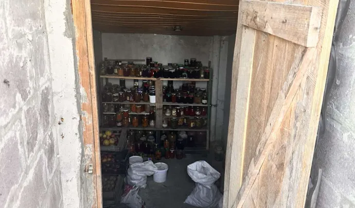 10046 Будинок в Березівці
