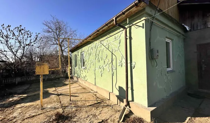 10046 Будинок в Березівці