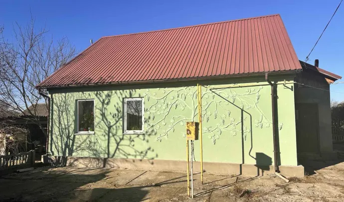 10046 Будинок в Березівці
