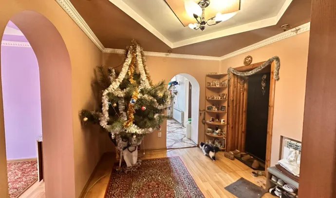 10046 Будинок в Березівці