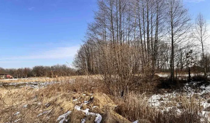 10047 Будинок в Барашівці
