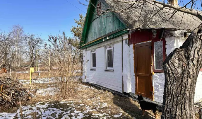 10047 Будинок в Барашівці
