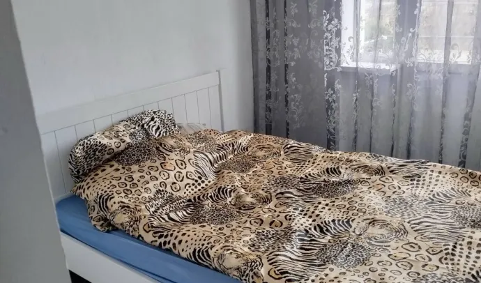 10052 Будинок в Пряжеві