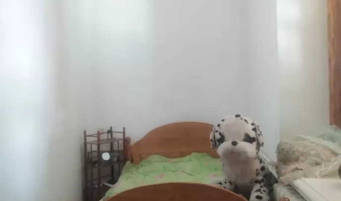Продам частину будинку, центр, Ріхтера, 1го Травня
